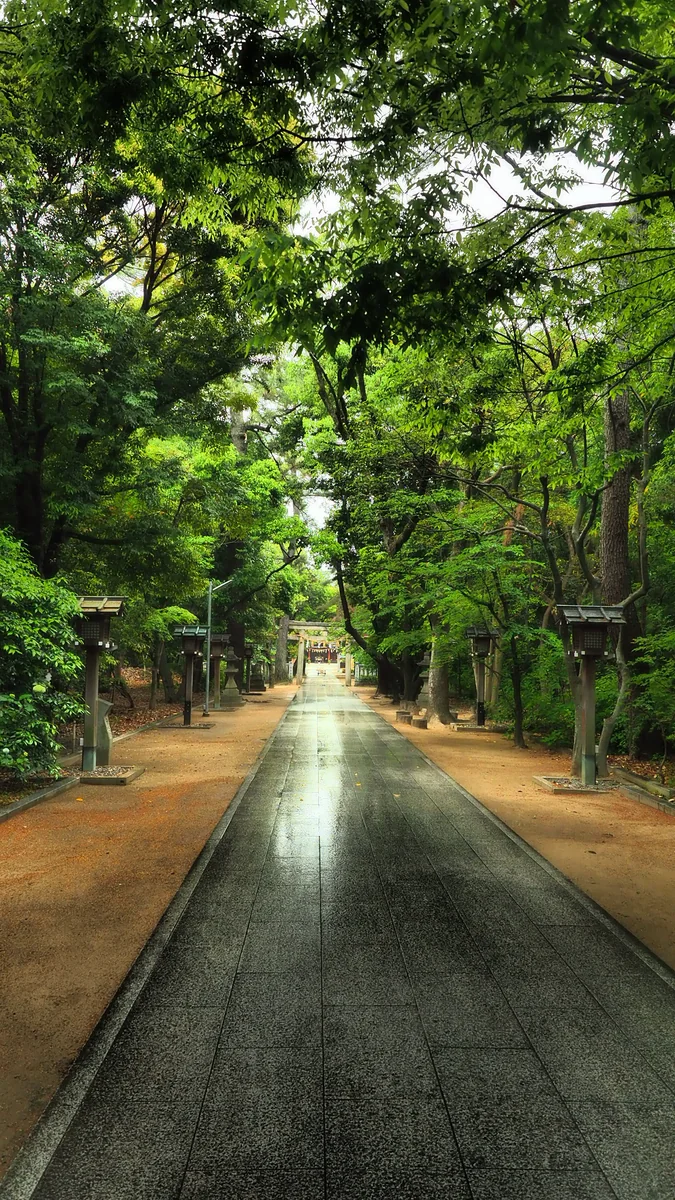 投稿写真：辛國神社参道