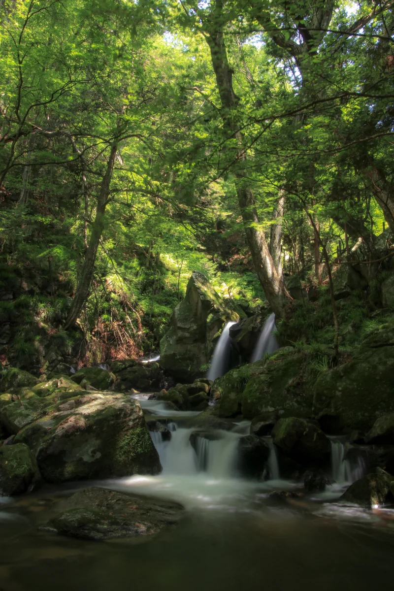 投稿写真：マイナスイオンたっぷり