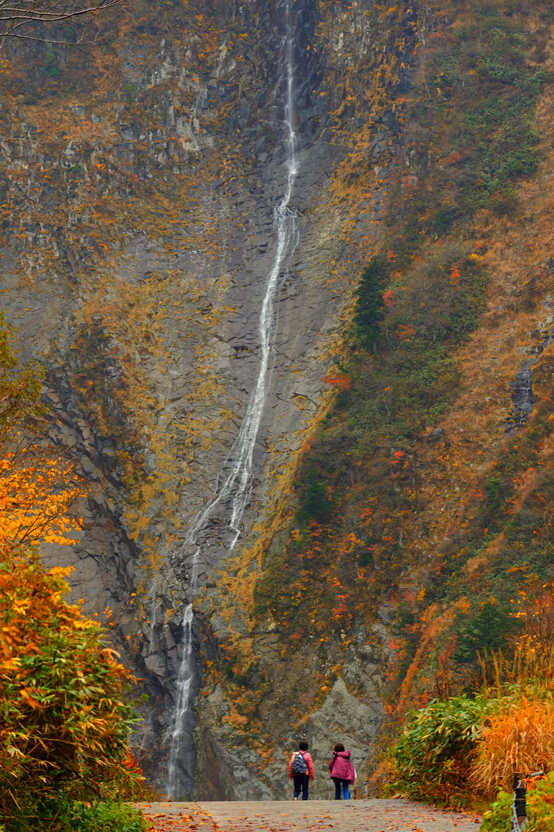 投稿写真：ハンノキ滝