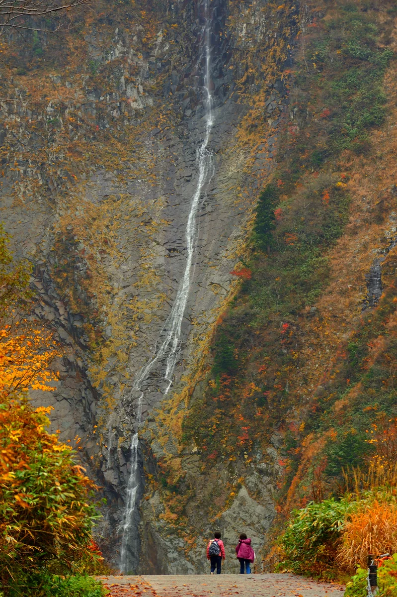投稿写真：ハンノキ滝