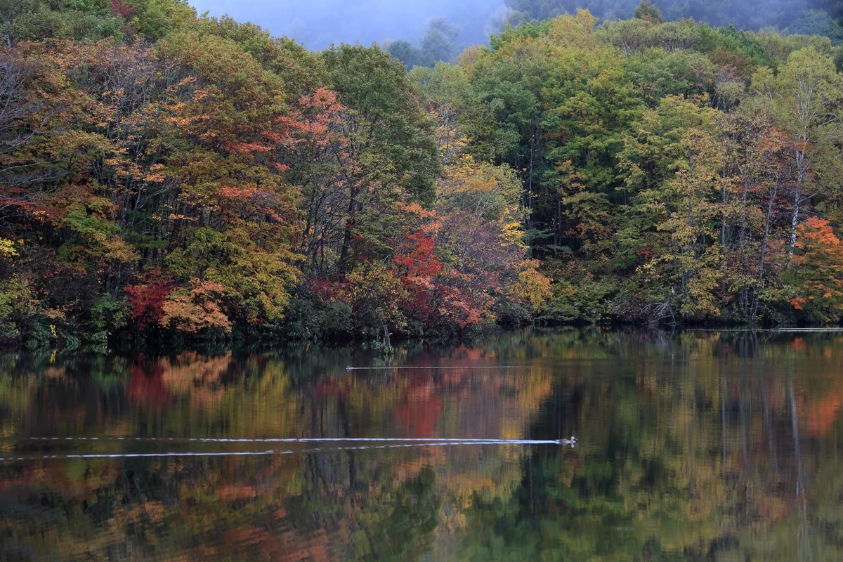 投稿写真：静寂