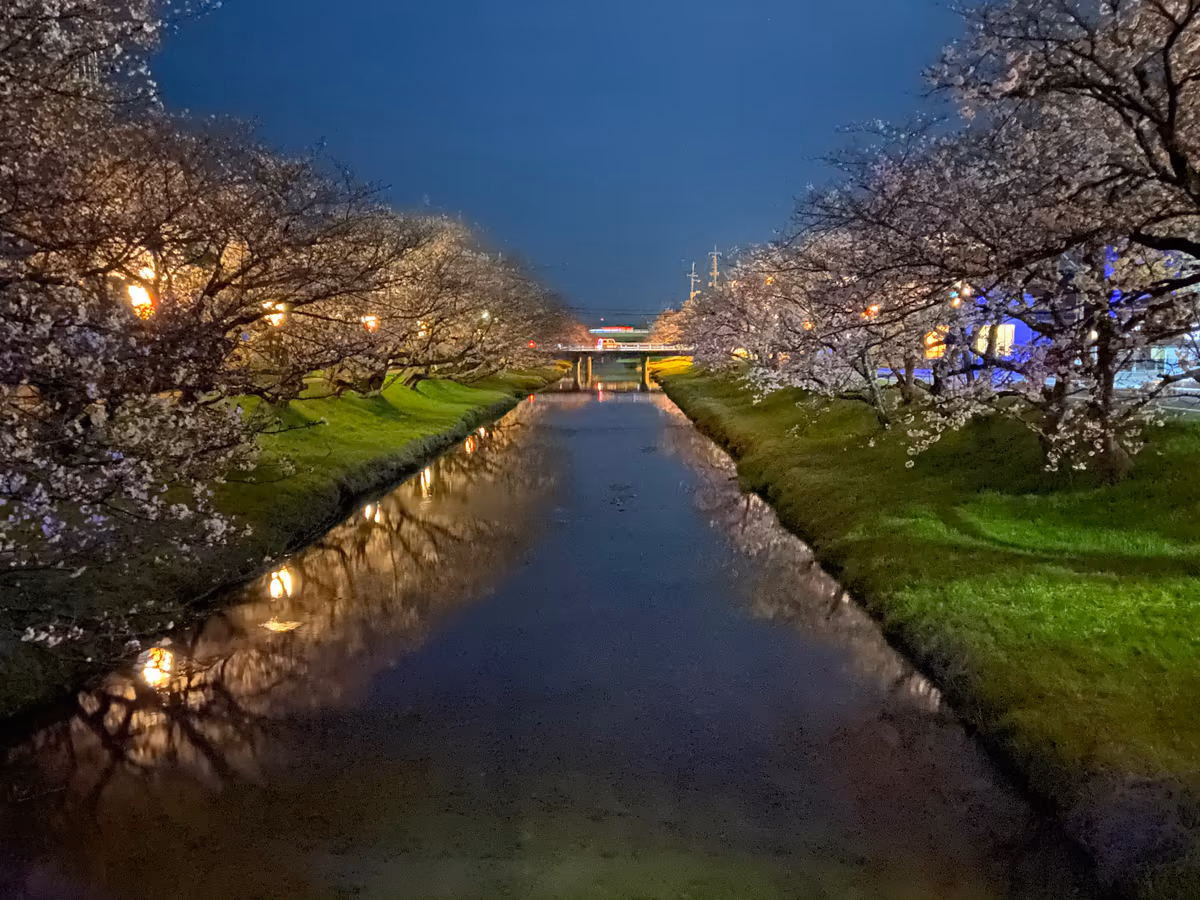 投稿写真：玉湯川の桜