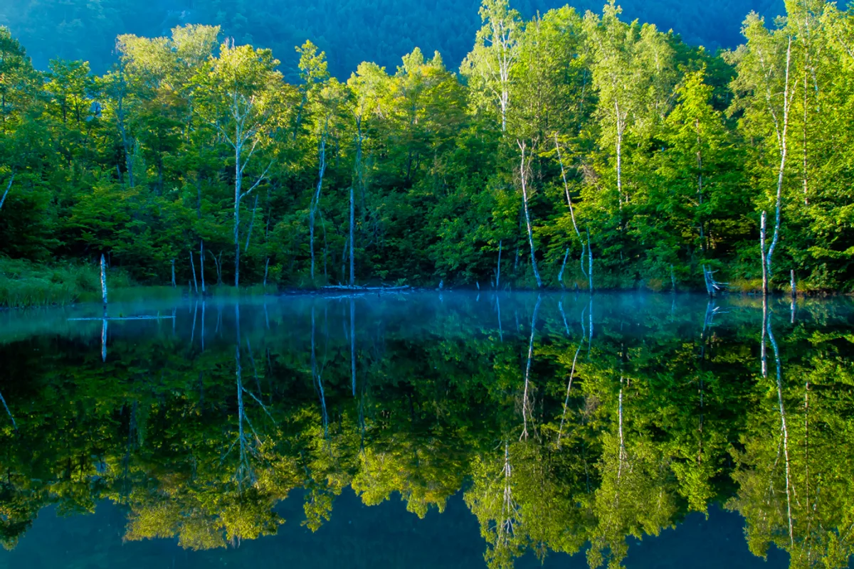 投稿写真：乗鞍高原まいめの池 夏の水鏡