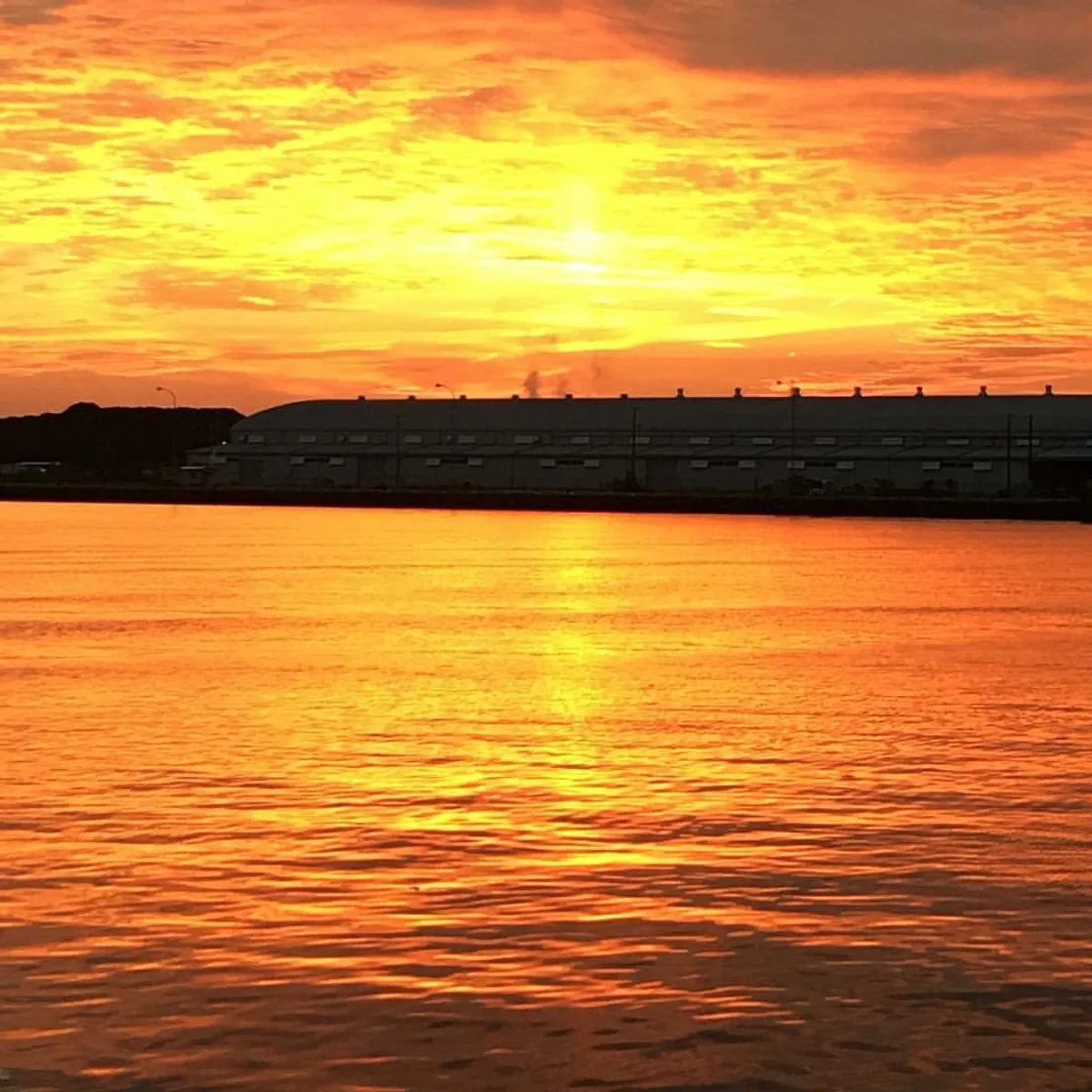 投稿写真：朝陽