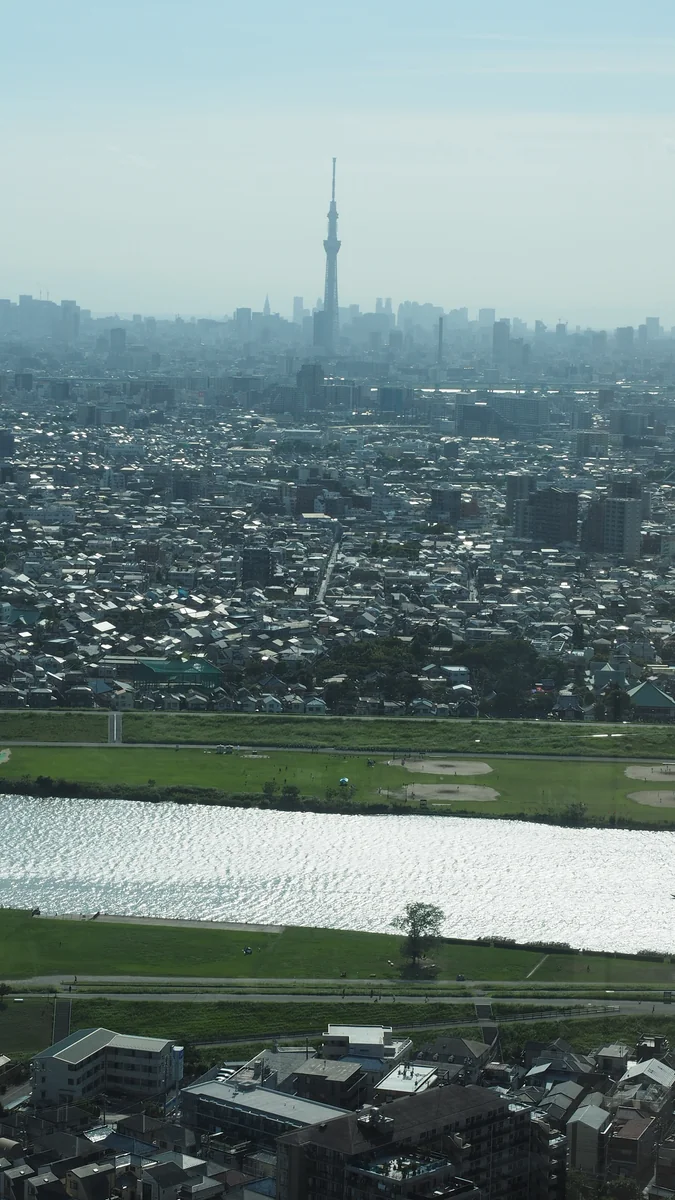 投稿写真：東京スカイツリー遠望