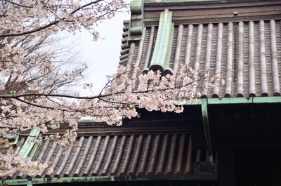  | 絶景事典