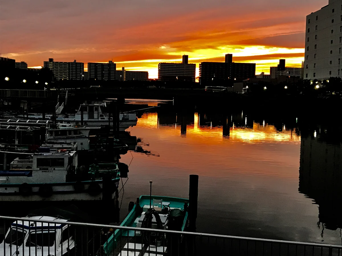 投稿写真：台風一過 翌日の朝焼け