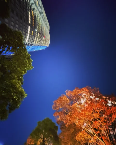 投稿：秋夜の帳