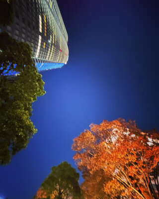  | 絶景事典
