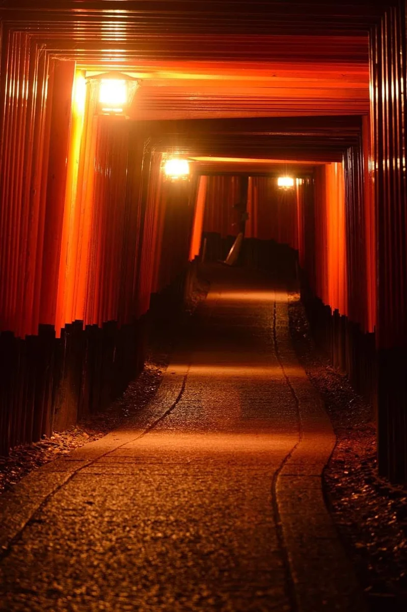 投稿写真：夜中の千本鳥居