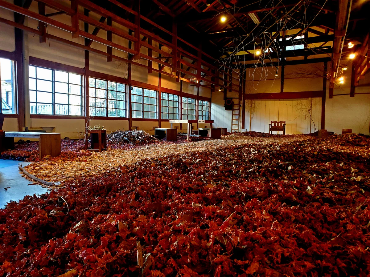 投稿写真：monne legui mooks