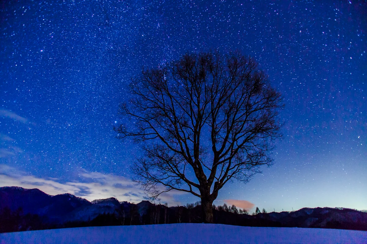 投稿写真：開田高原 木曽馬の里の星空