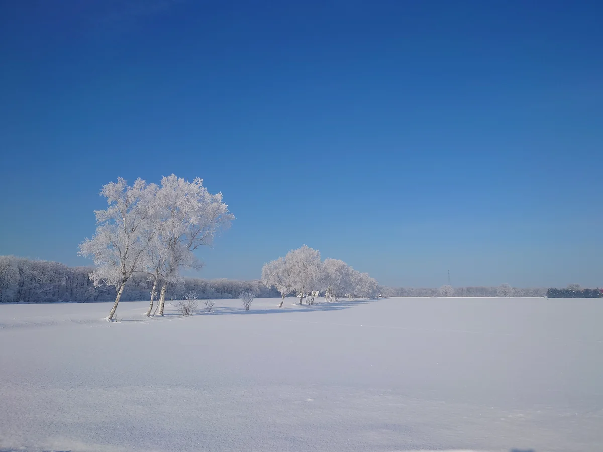 投稿写真：氷点下１９度の朝