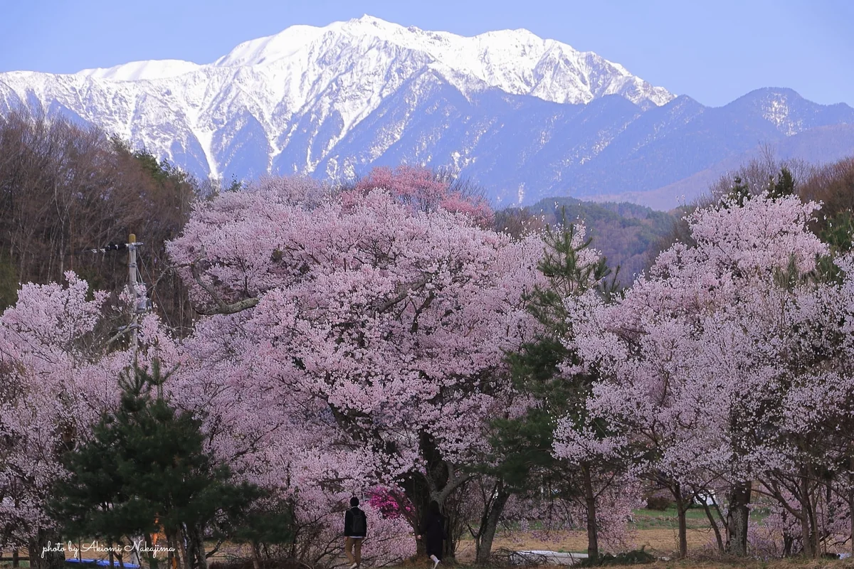 投稿写真：六道の堤から