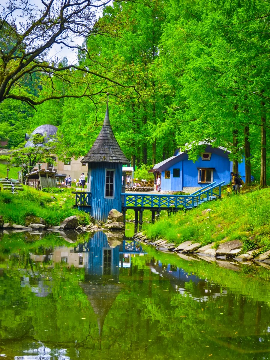 投稿写真：新緑と青い建物のリフレクション