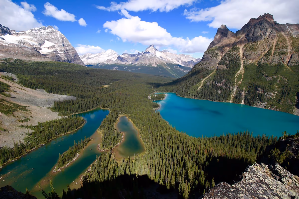 投稿写真：Lake Ohara