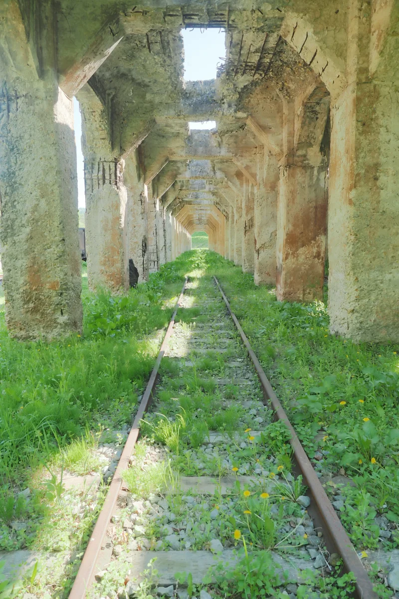 投稿写真：夢の跡