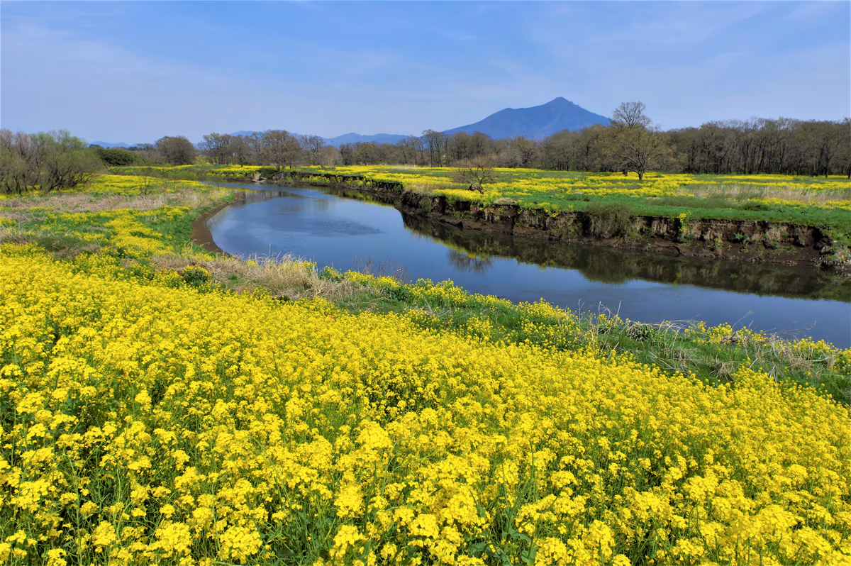 投稿写真：小貝川と筑波山