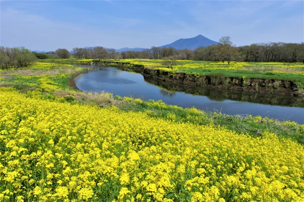 投稿：小貝川と筑波山
