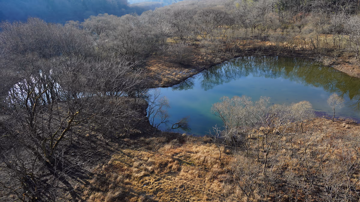 投稿写真：江の川　中流域