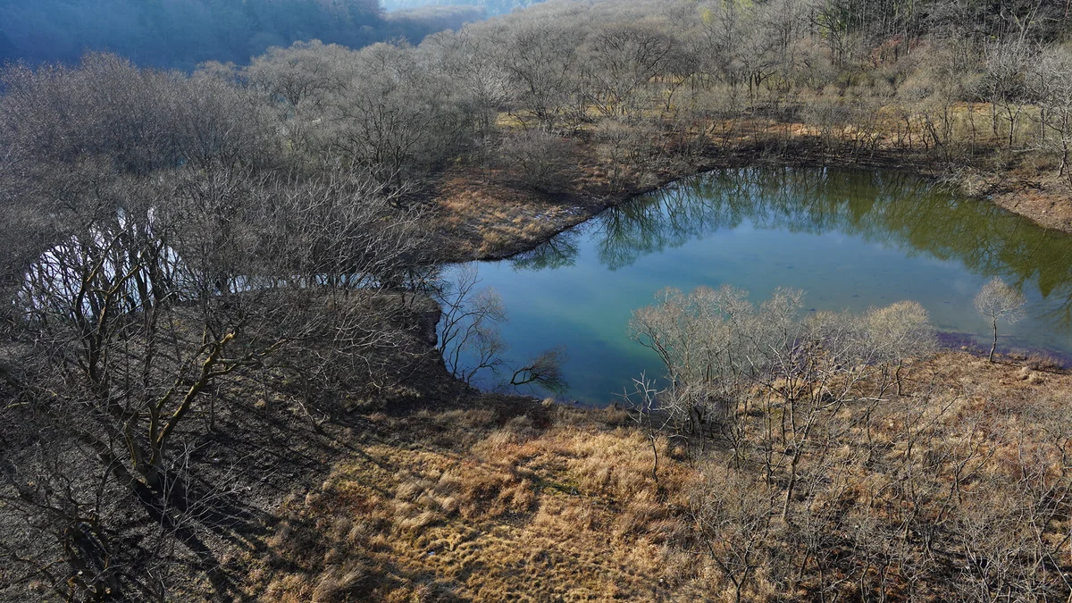 投稿写真：江の川　中流域