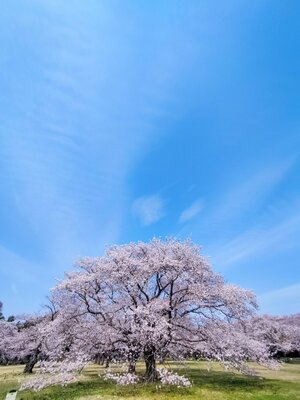  | 絶景事典