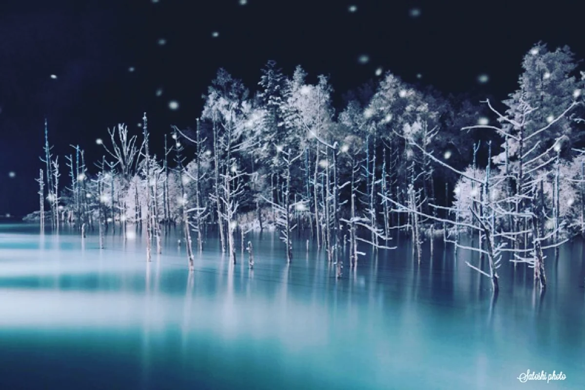 sugas0523さんの投稿写真