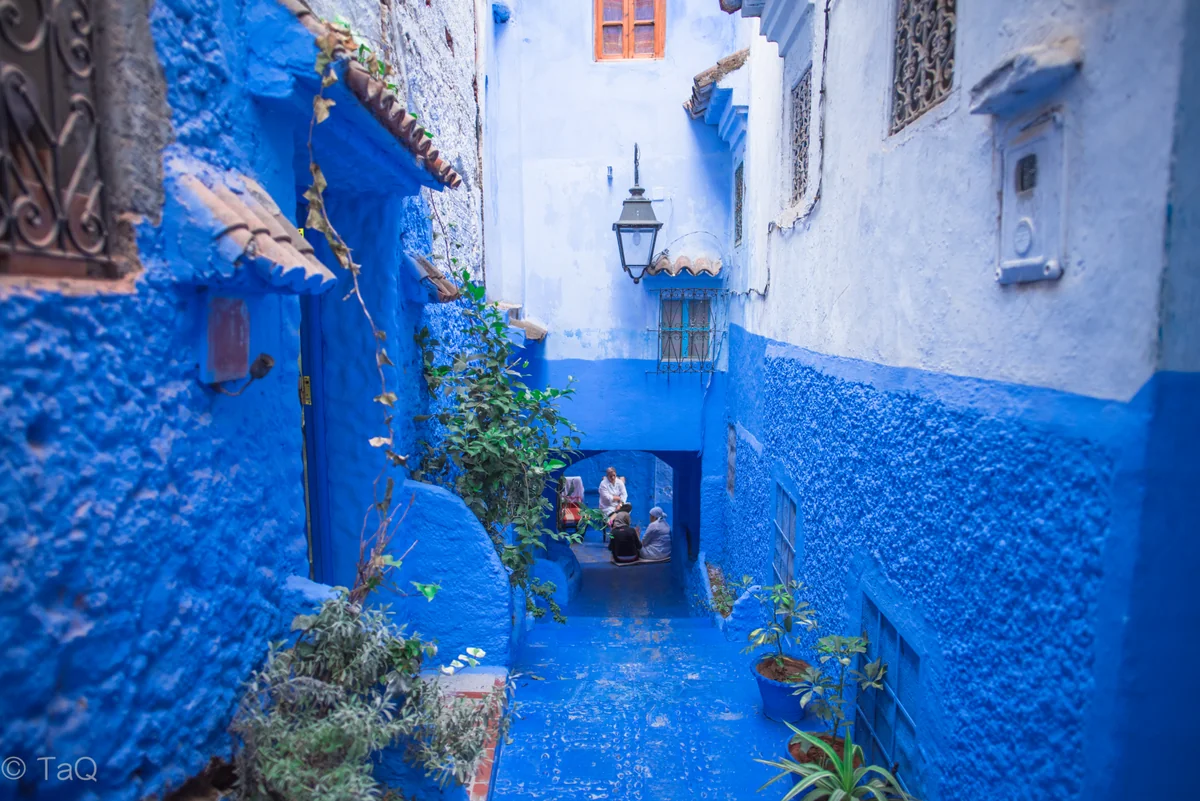 投稿写真：青の街