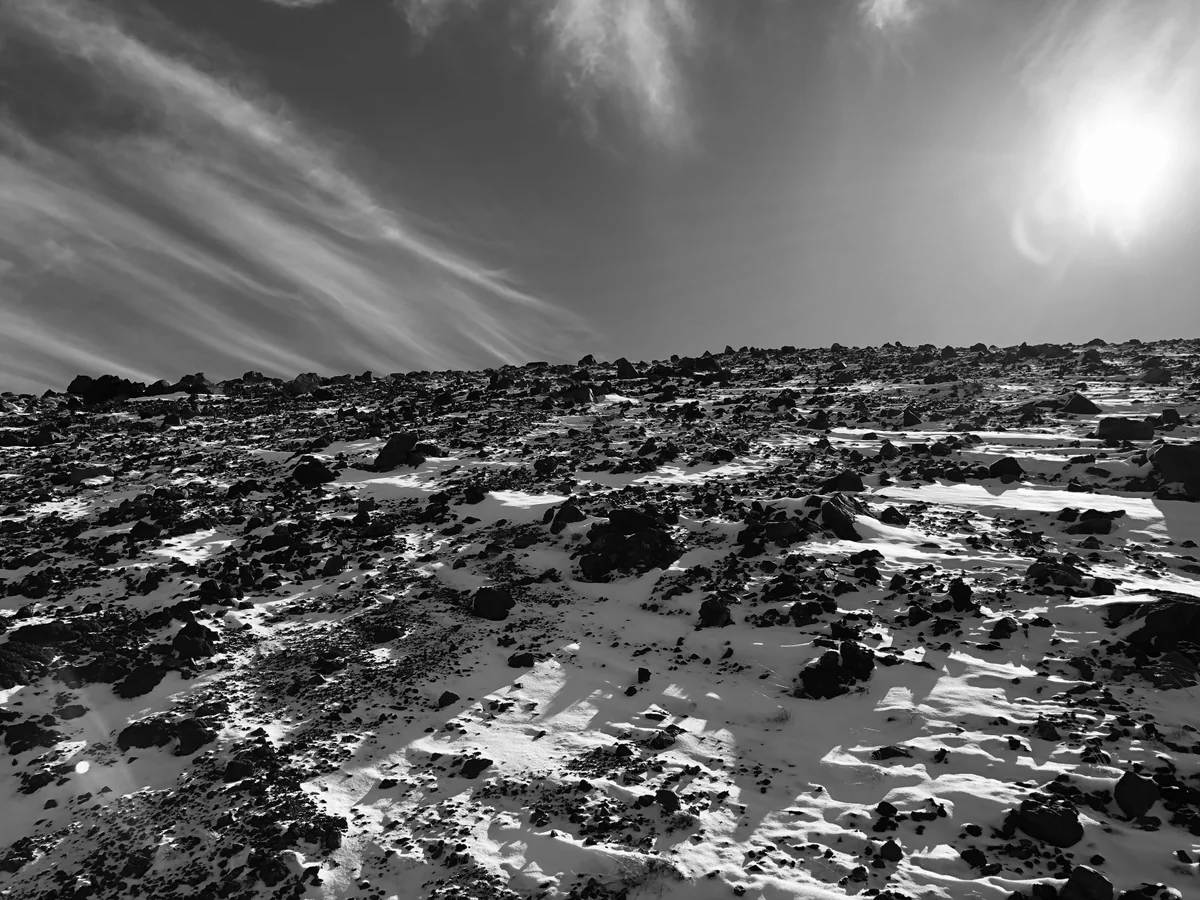 投稿写真：積雪期初期