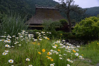  | 絶景事典