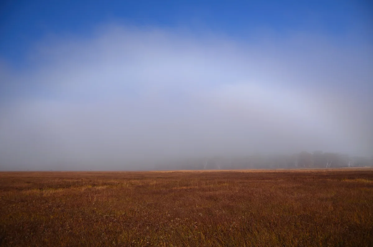 投稿写真：奇跡　尾瀬の白い虹