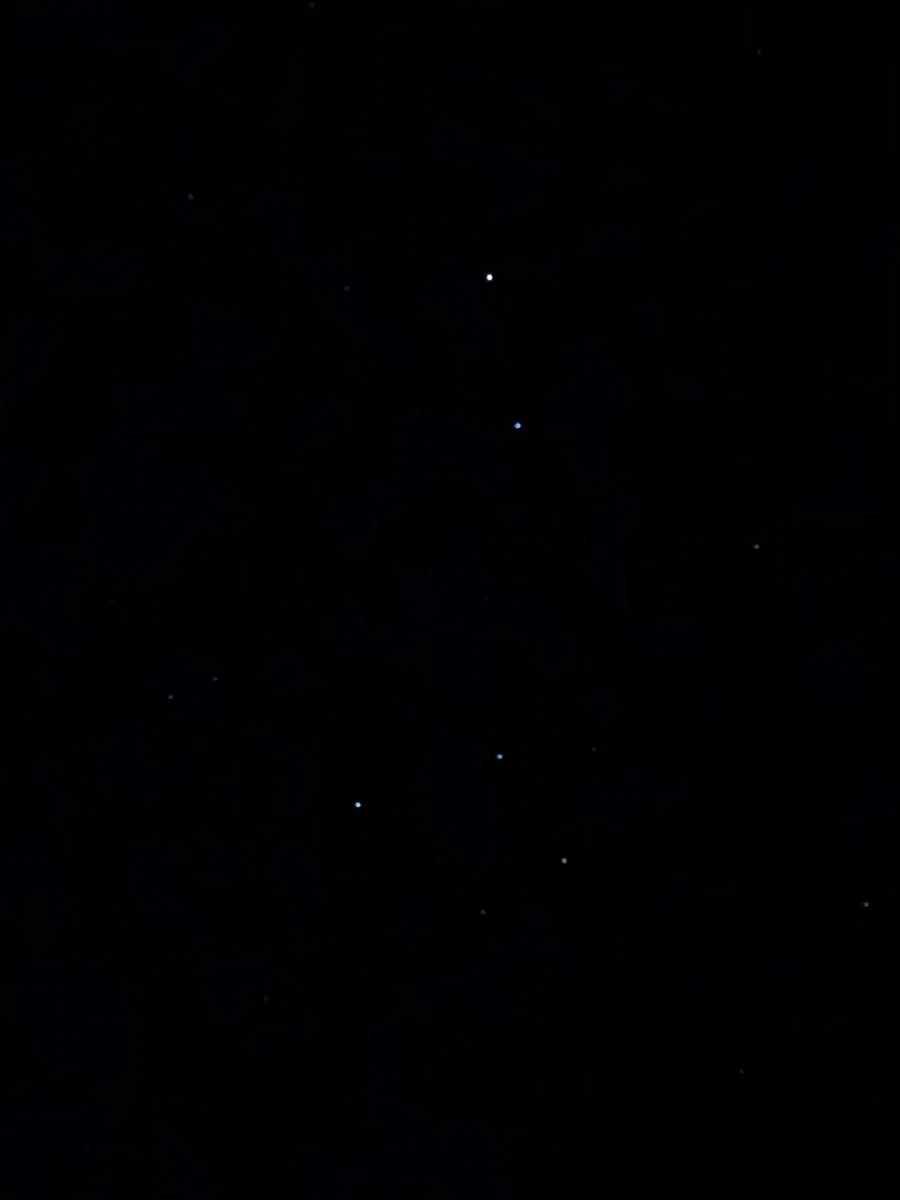 投稿写真：南十字星