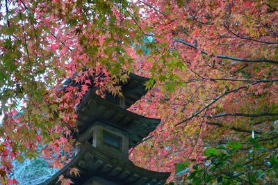  | 絶景事典