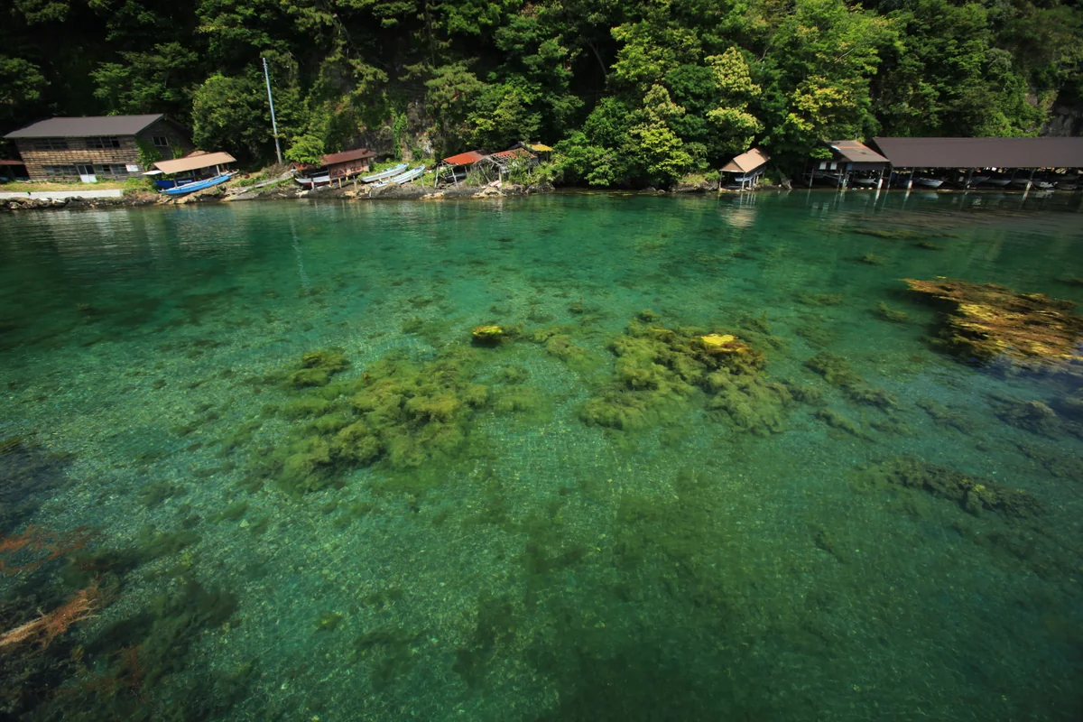 投稿写真：エメラルドグリーンの海