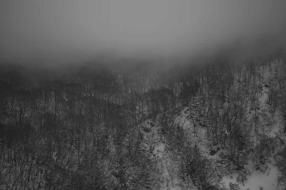 投稿写真：水墨