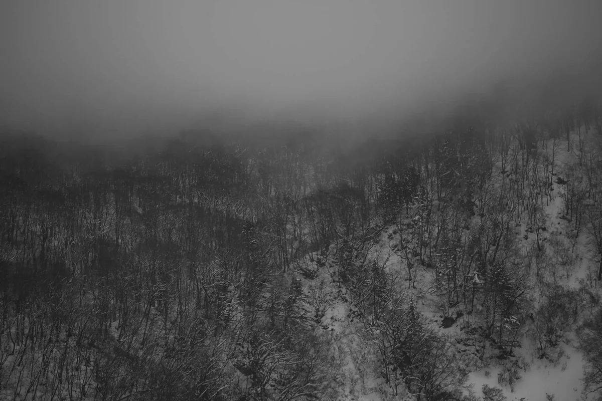 投稿写真：水墨