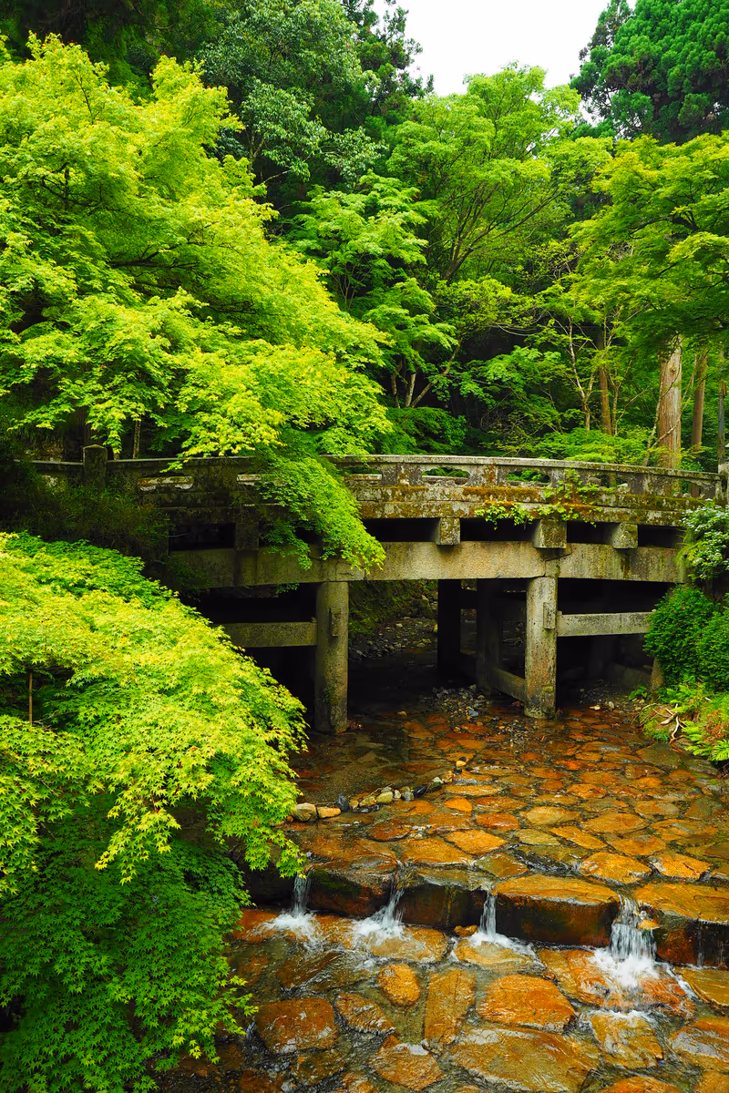 投稿写真：日吉大社大宮橋