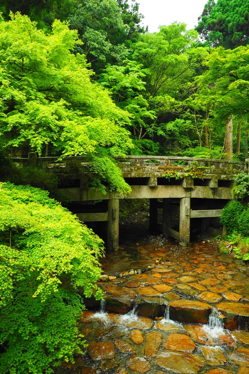 投稿写真：日吉大社大宮橋