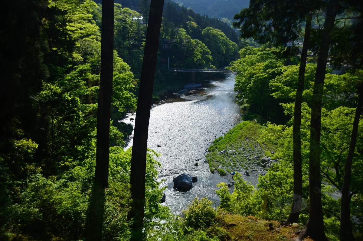 投稿写真：5月の流れ