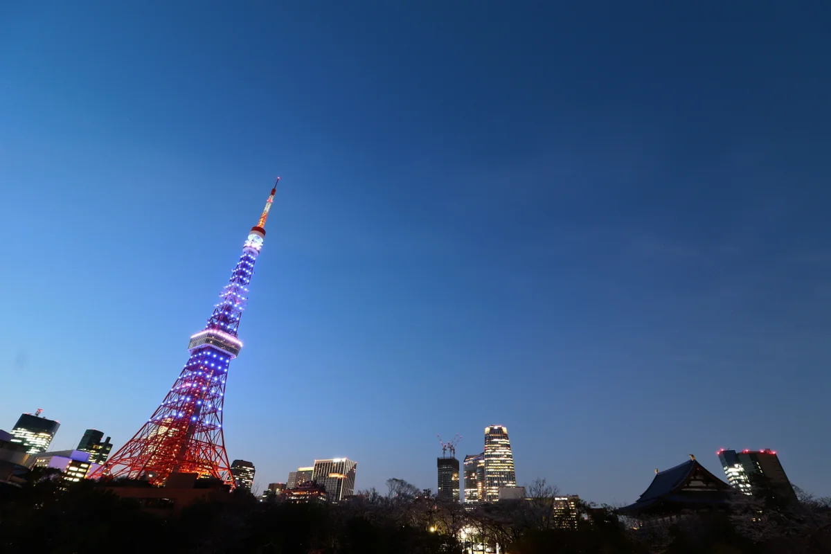 投稿写真：夕暮れのシンボル