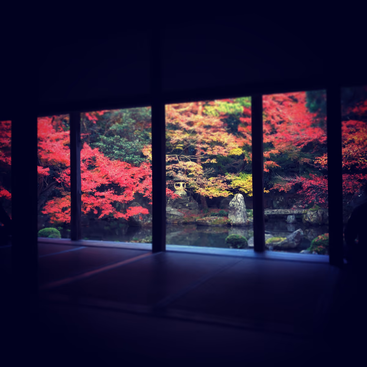 投稿写真：紅葉