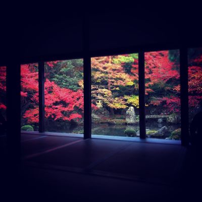  | 絶景事典