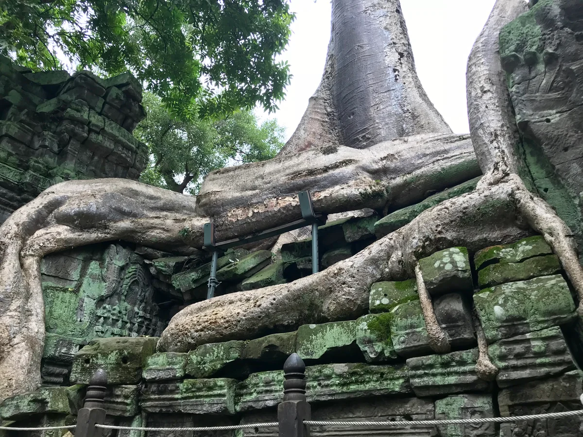 投稿写真：タ・プローム