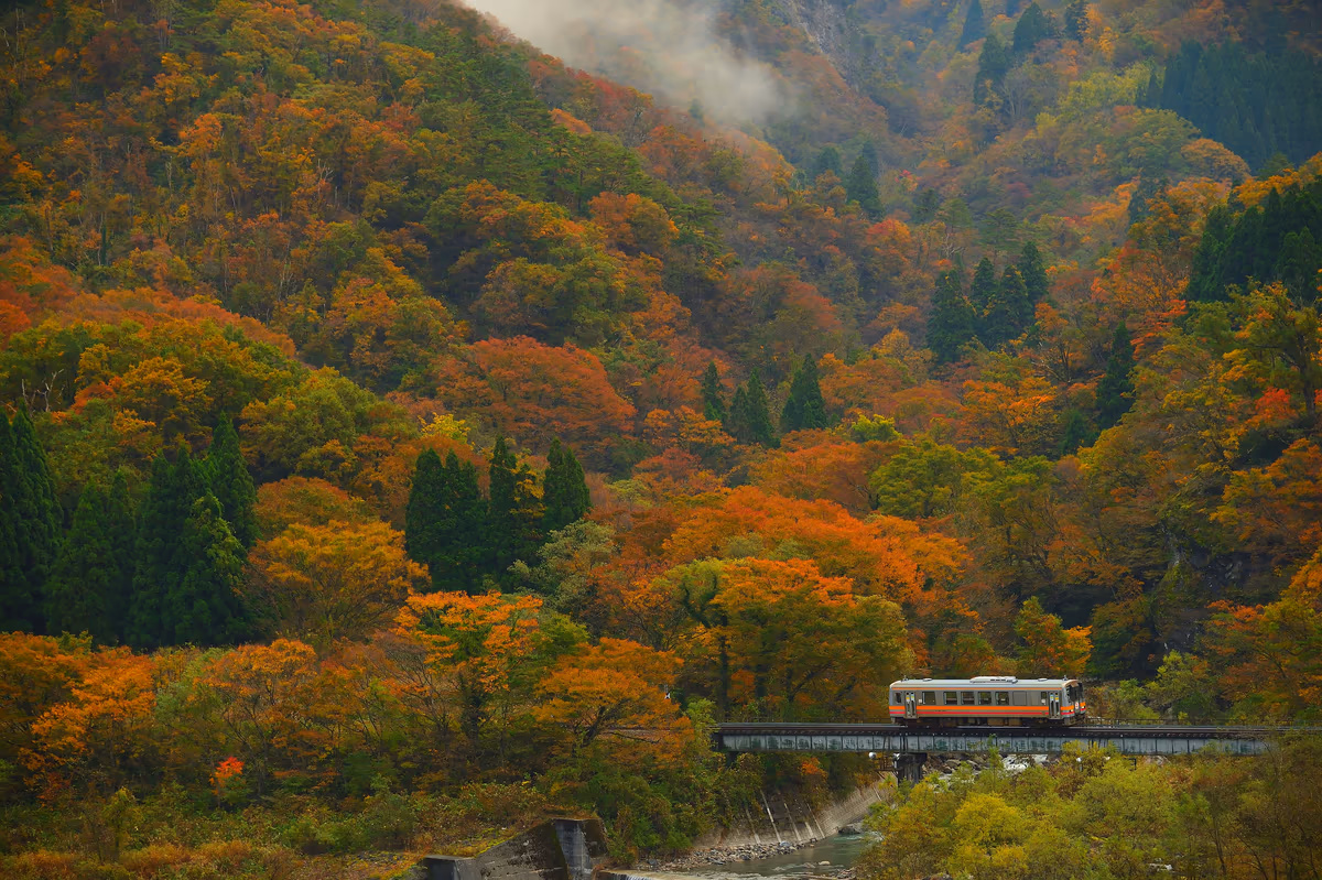 投稿写真：紅葉の大糸線