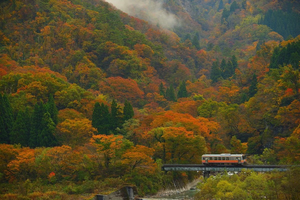 投稿写真：紅葉の大糸線