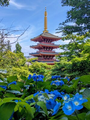  | 絶景事典