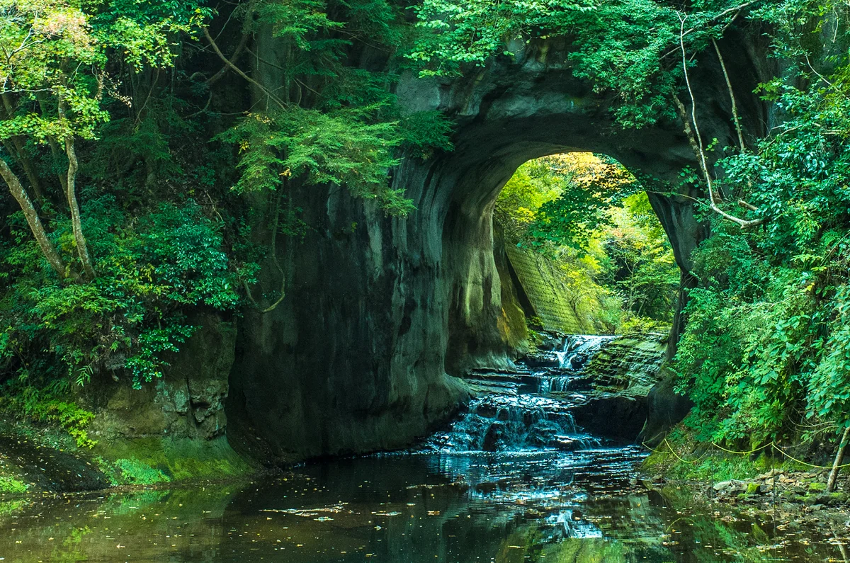 投稿写真：ジブリの世界