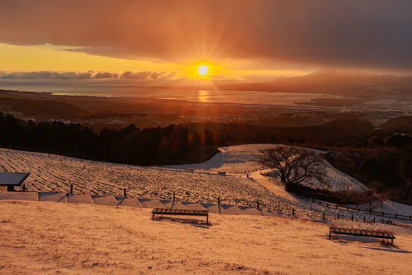投稿：白木峰高原の日の出