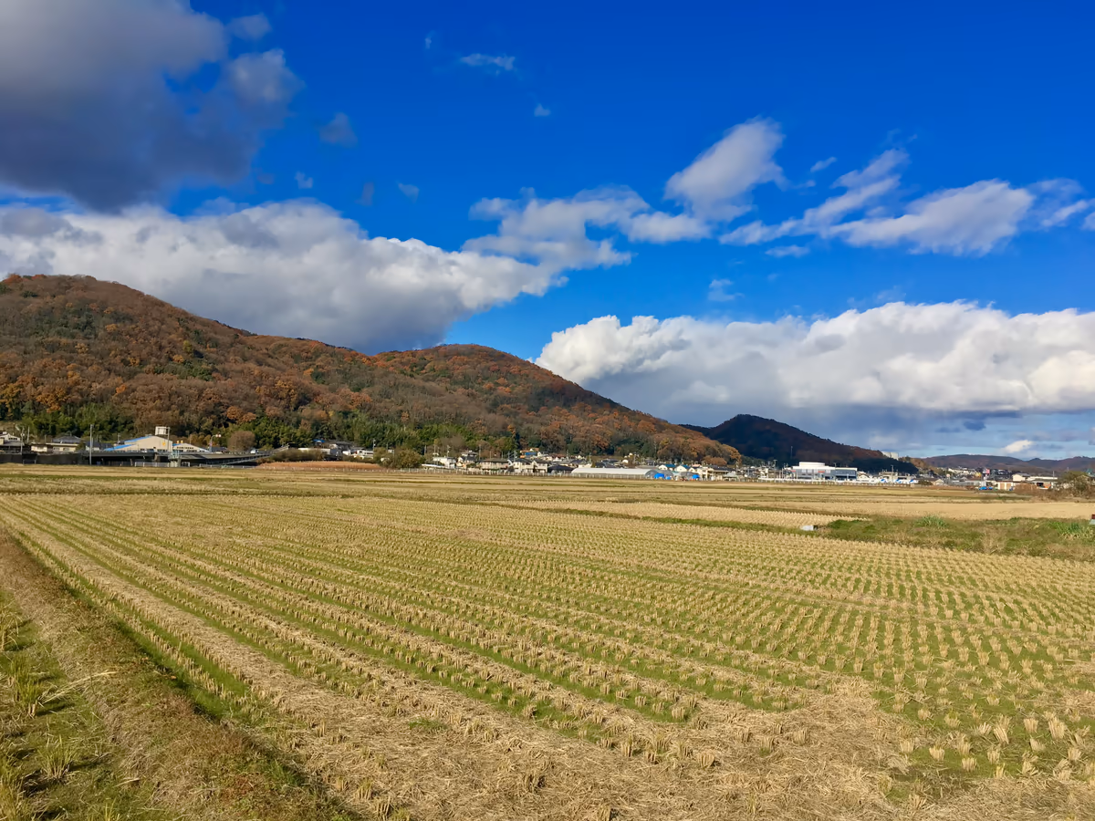 投稿写真：吉備津でお散歩