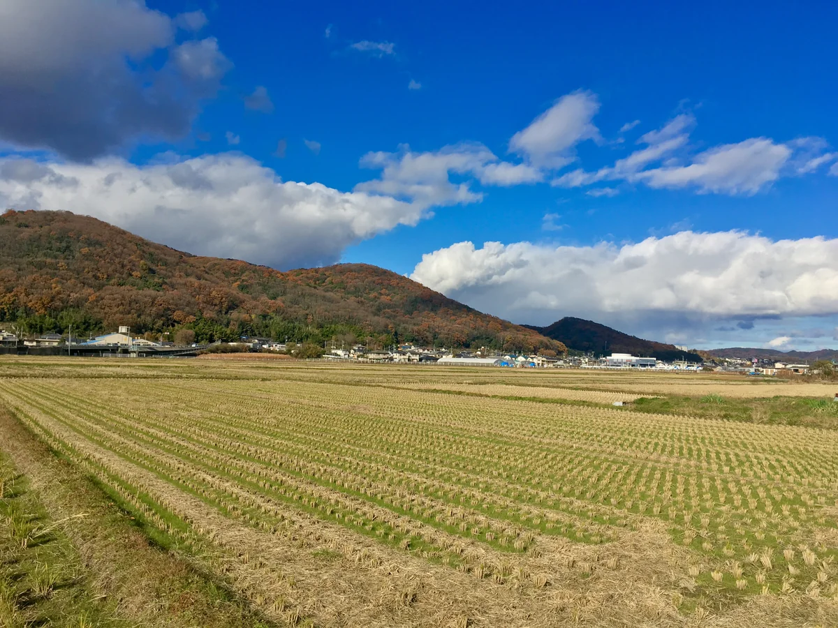 投稿写真：吉備津でお散歩